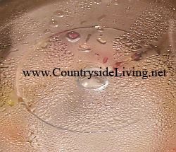Розовая вода, рецепт. Приготовление розовой воды